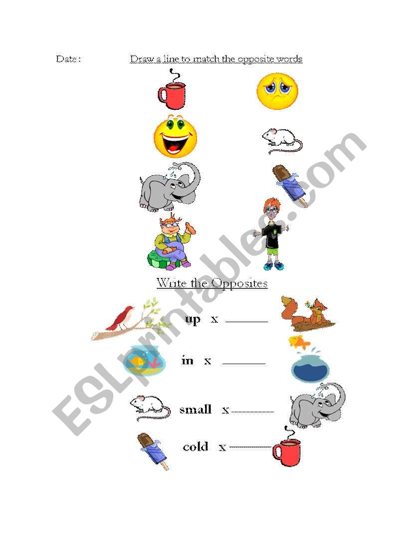 Opposites worksheet