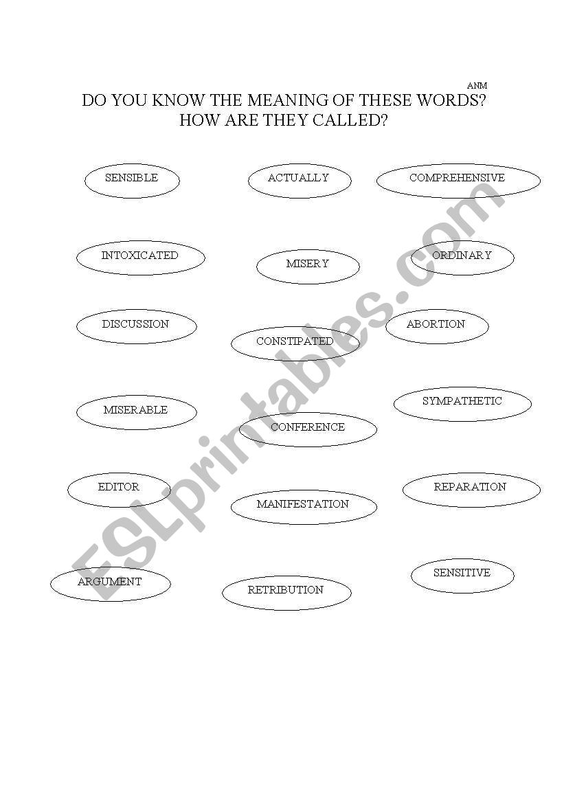 false friends worksheet