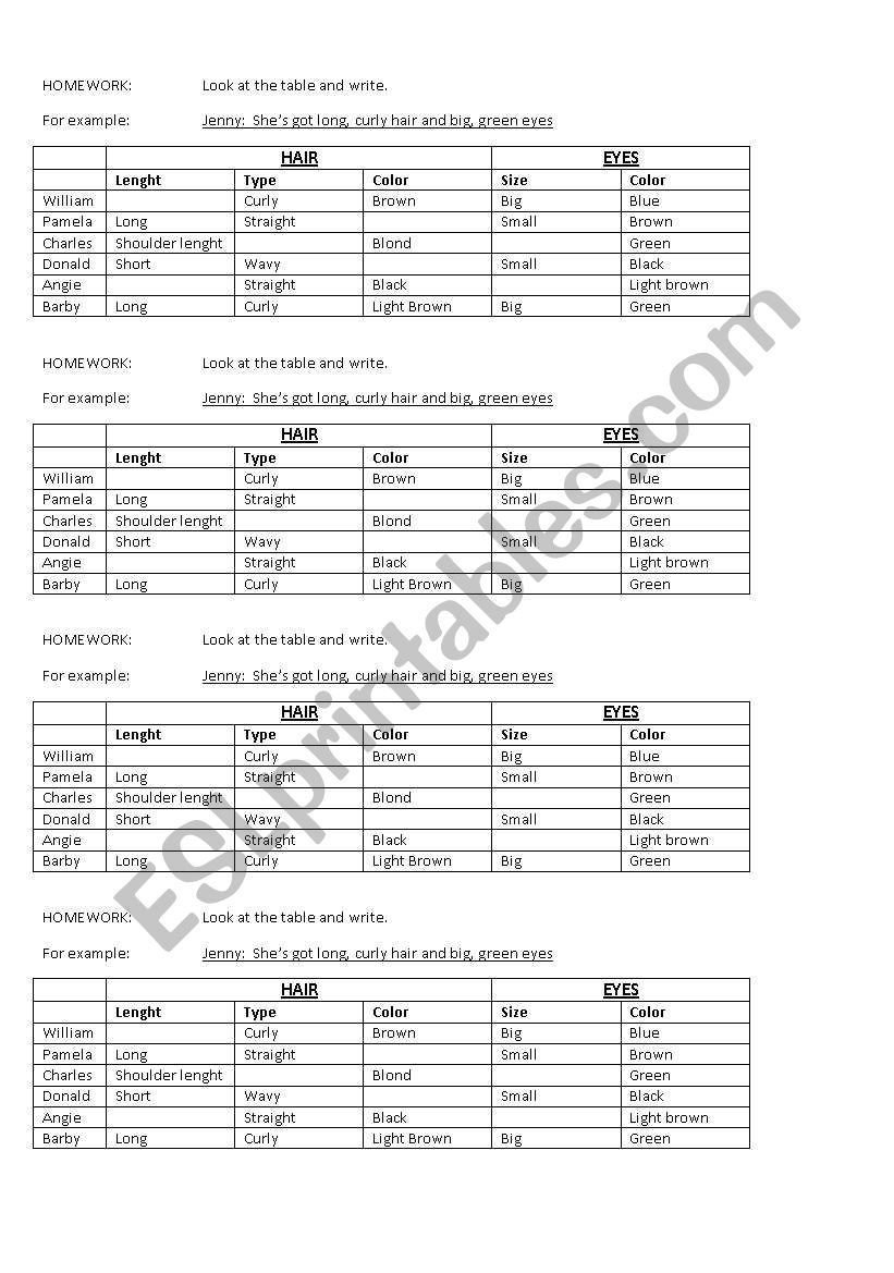 He/Shes got worksheet