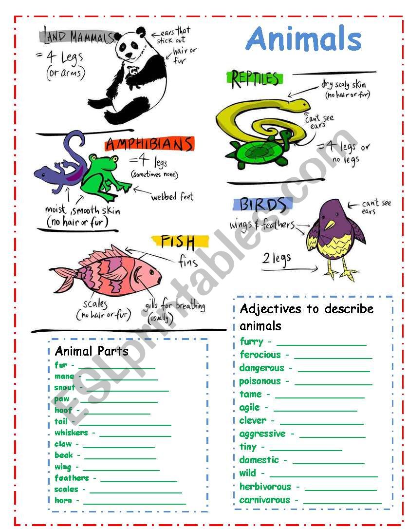 DESCRIBING ANIMALS ESL Worksheet By Yenn