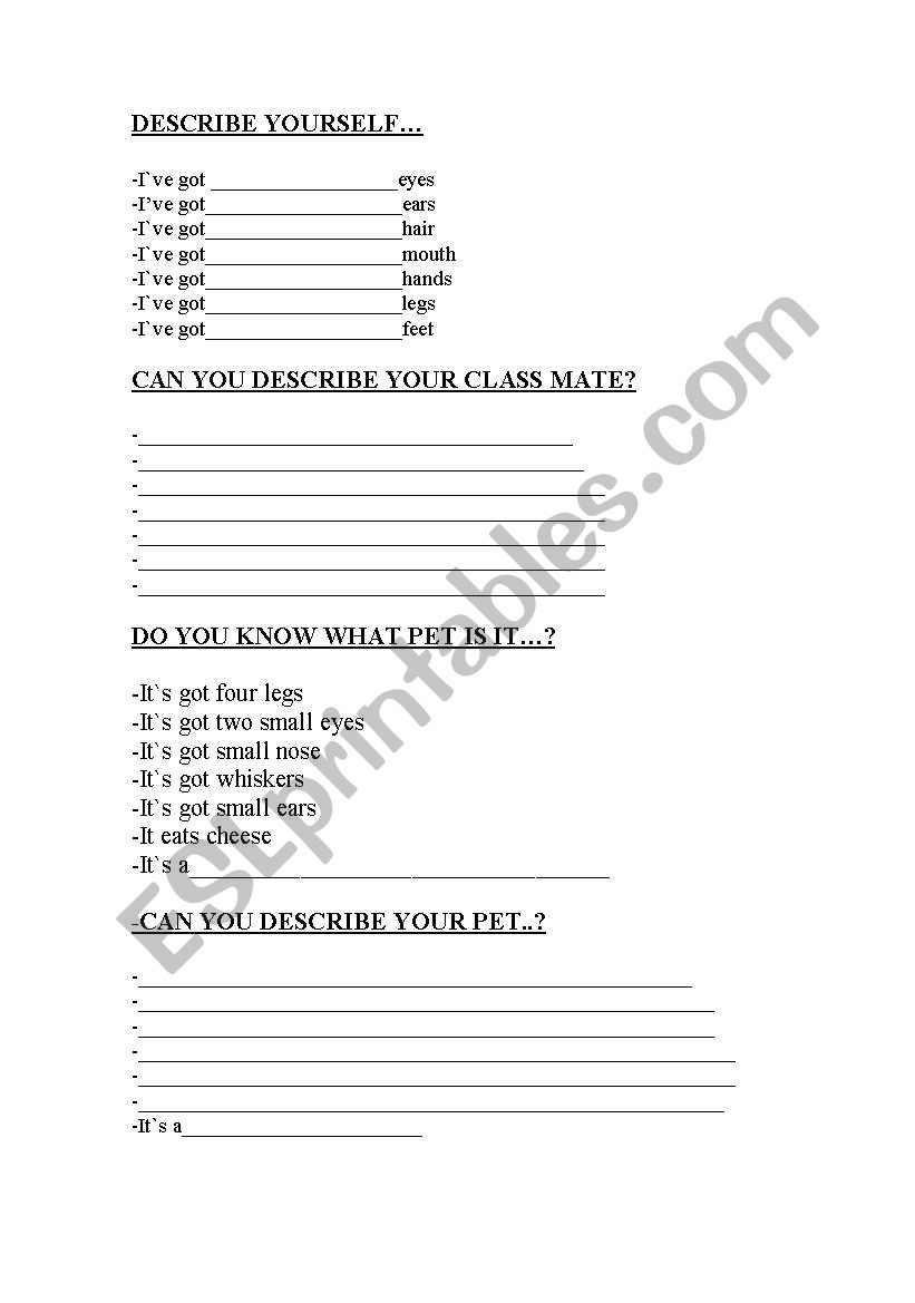 describing people and animals worksheet