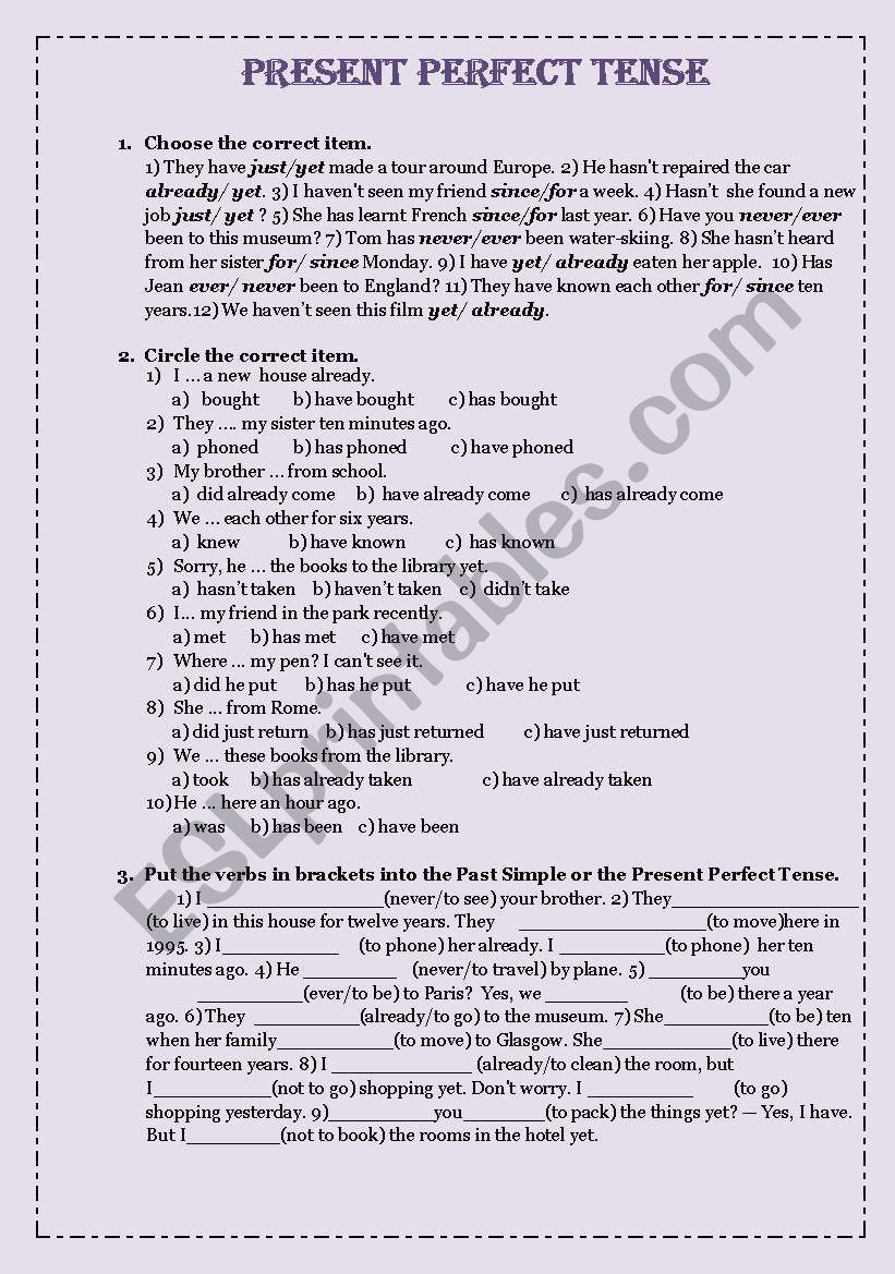 Present Perfect Tense worksheet