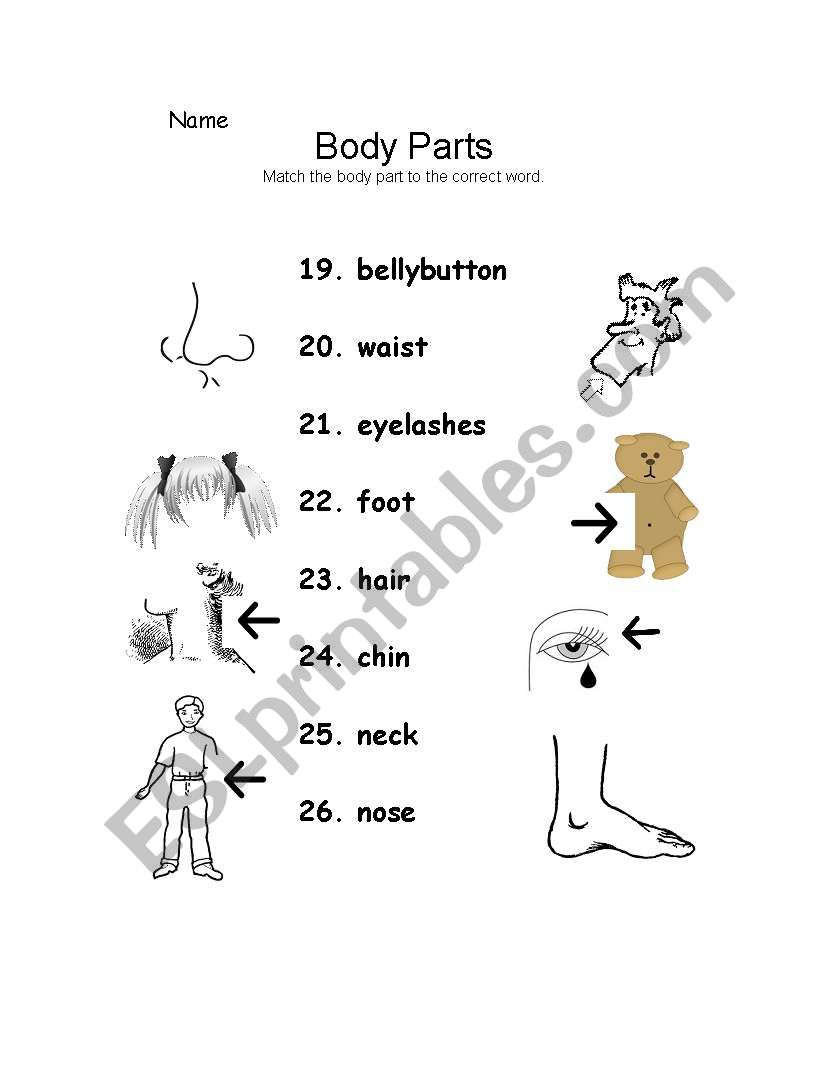 Body parts page 3 worksheet