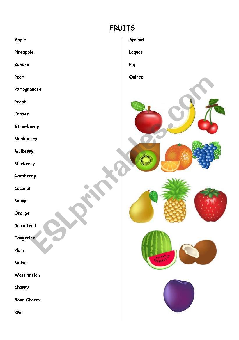 fruits worksheet