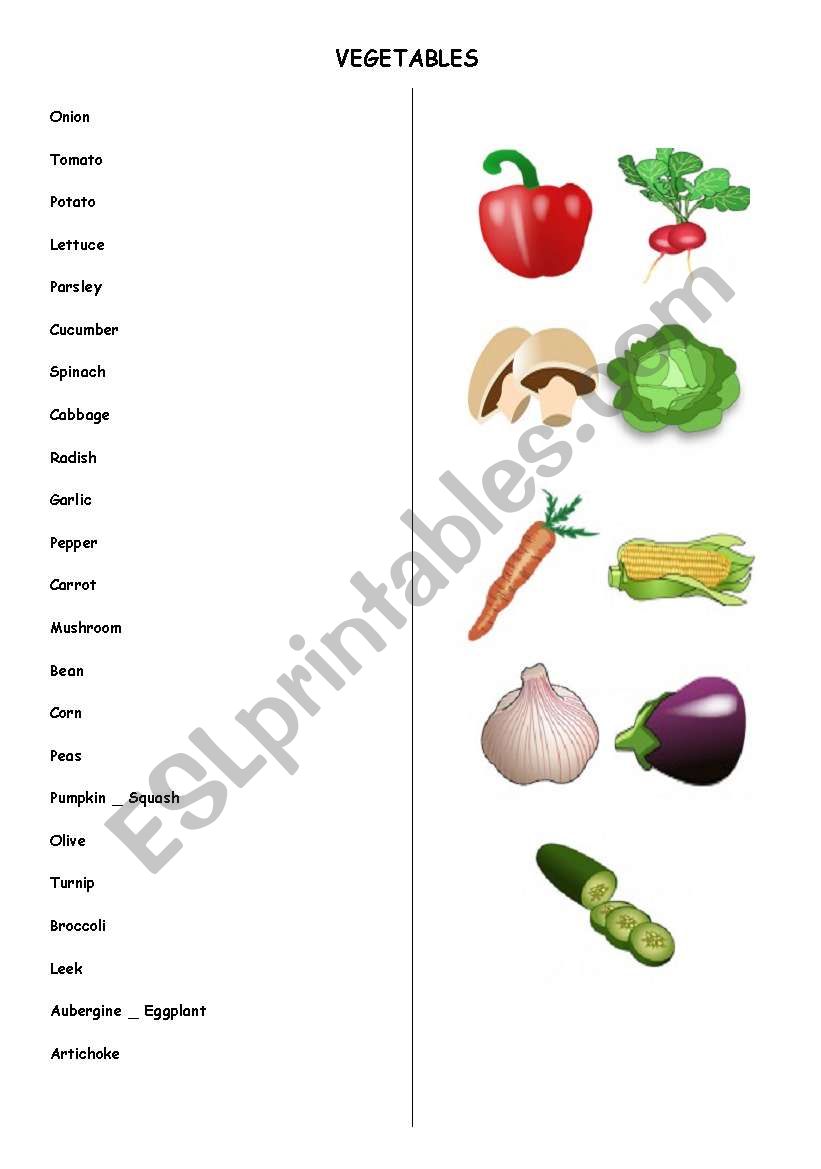 vegetables worksheet