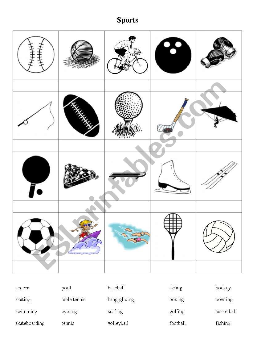 Sports worksheet