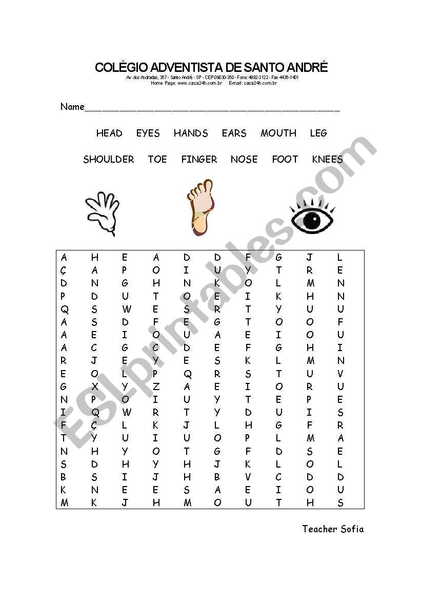 Parts of Body worksheet