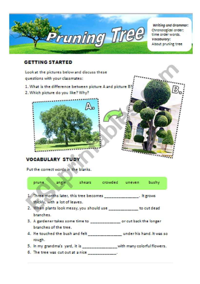 Tree worksheet