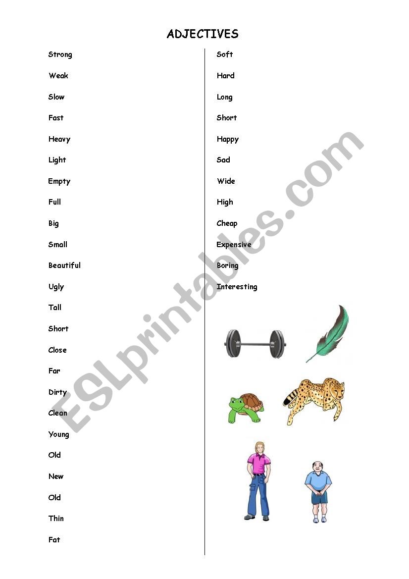 adjectives  worksheet