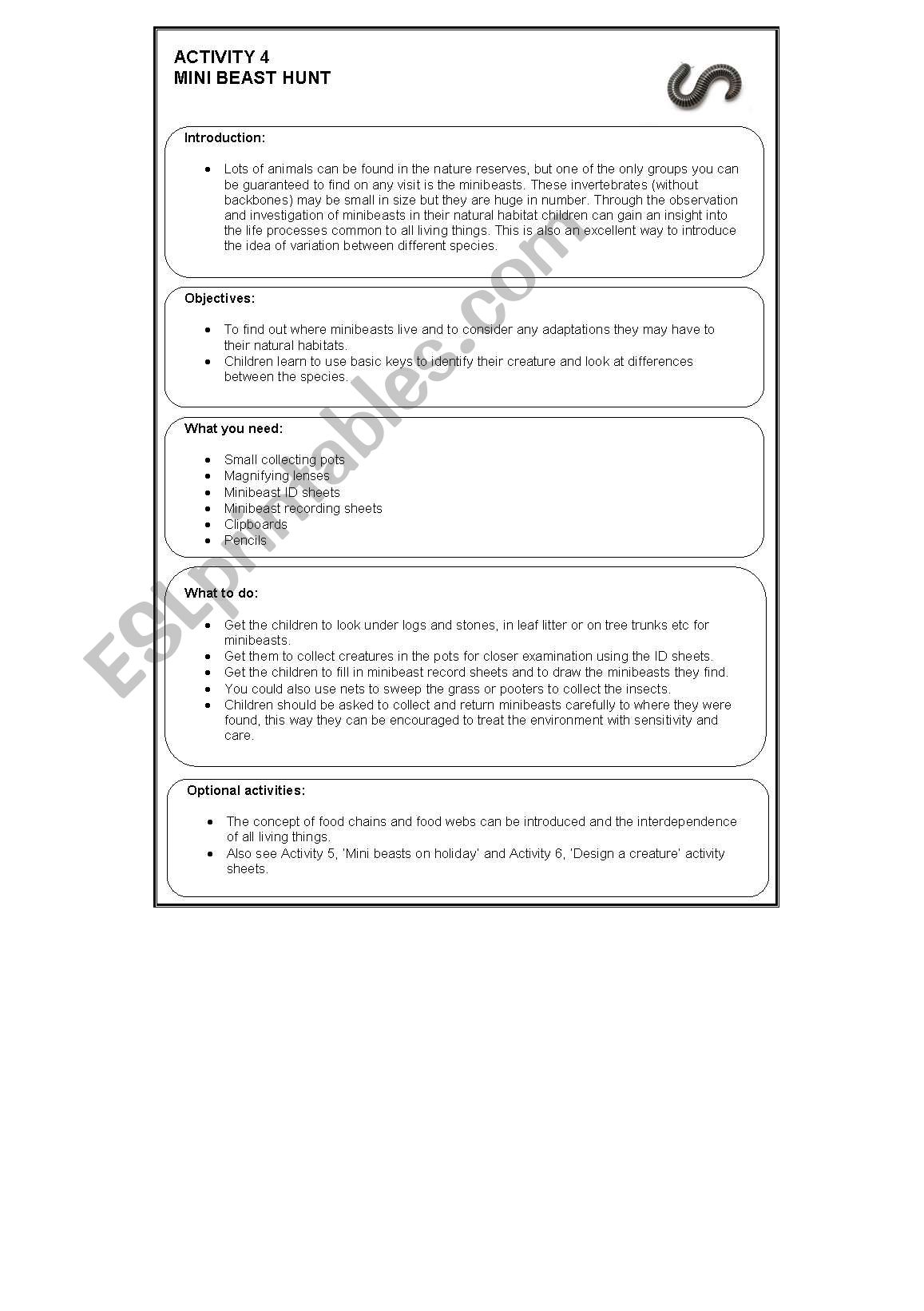 Minibeast hunt worksheet