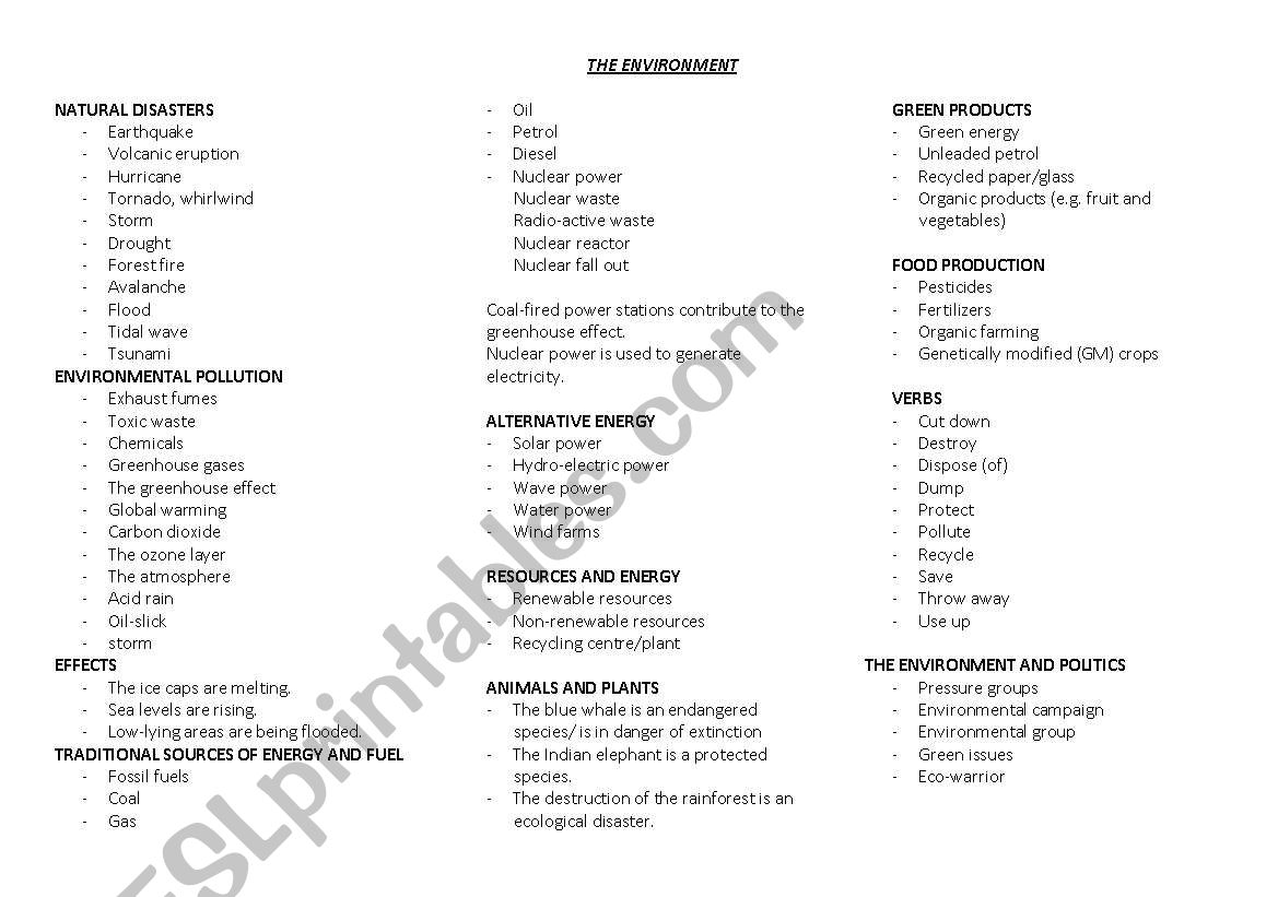 The Environment worksheet