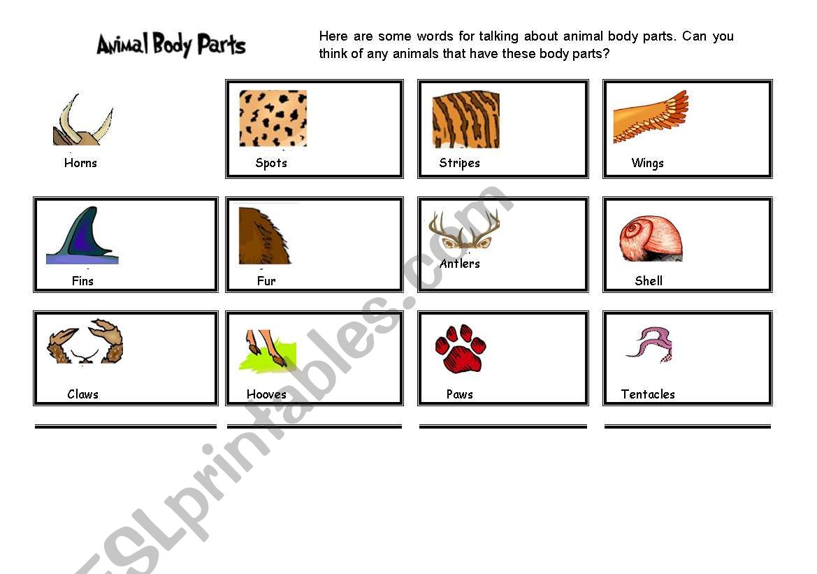 Body parts Pics worksheet