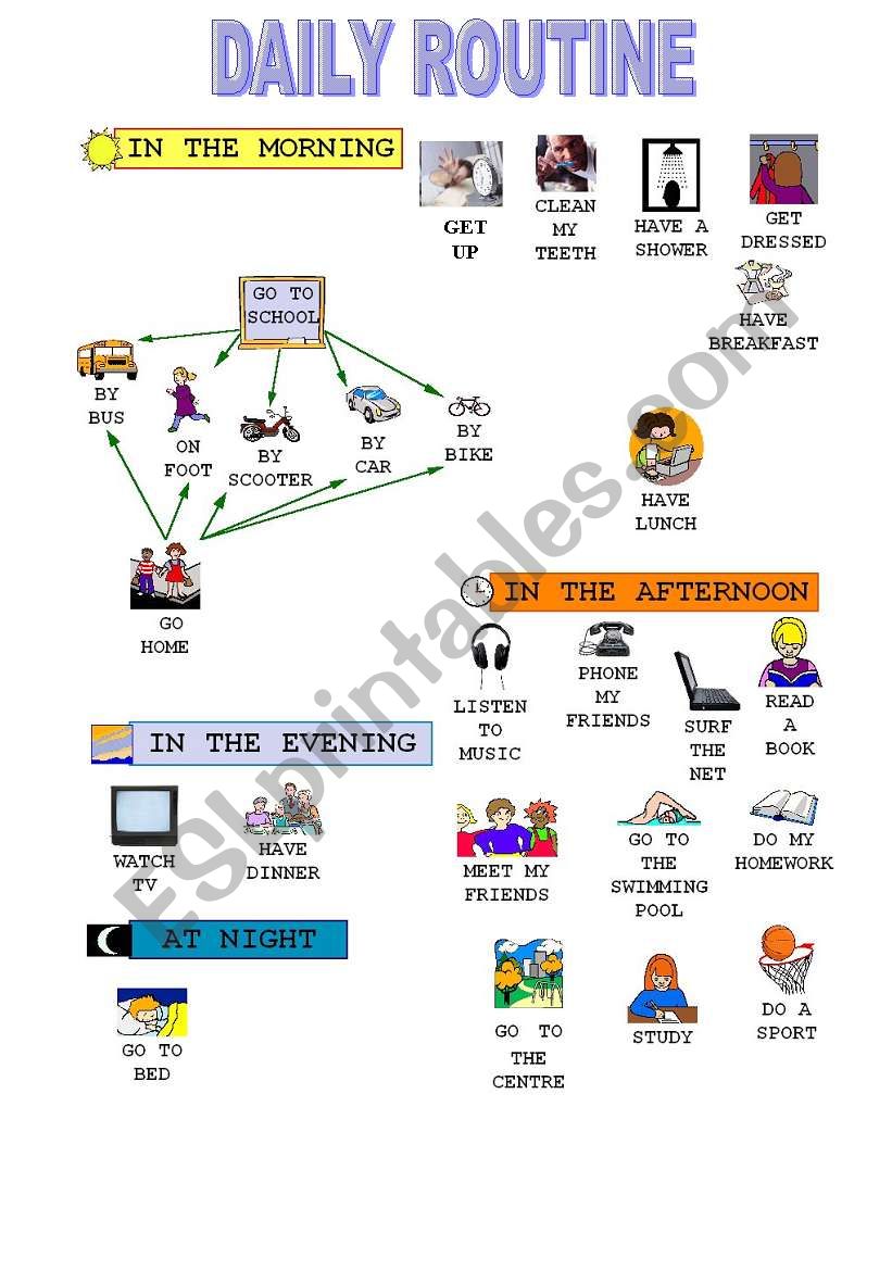 daily routine worksheet