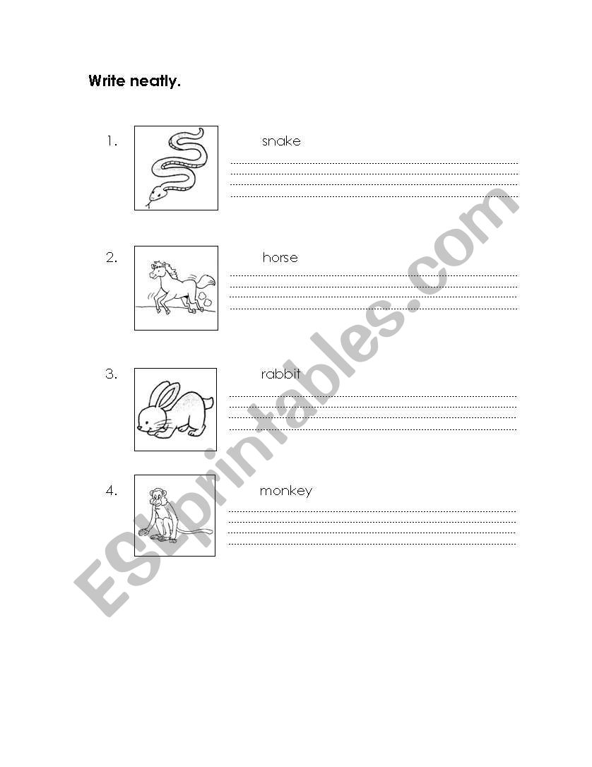 Names of animals worksheet