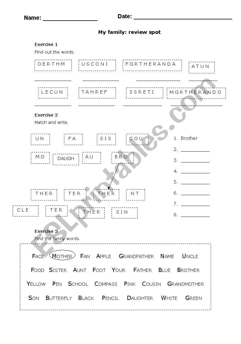 Family Vocabulary worksheet