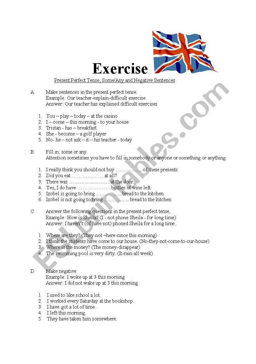 Exercise for present perfect, some/any, negative sentences