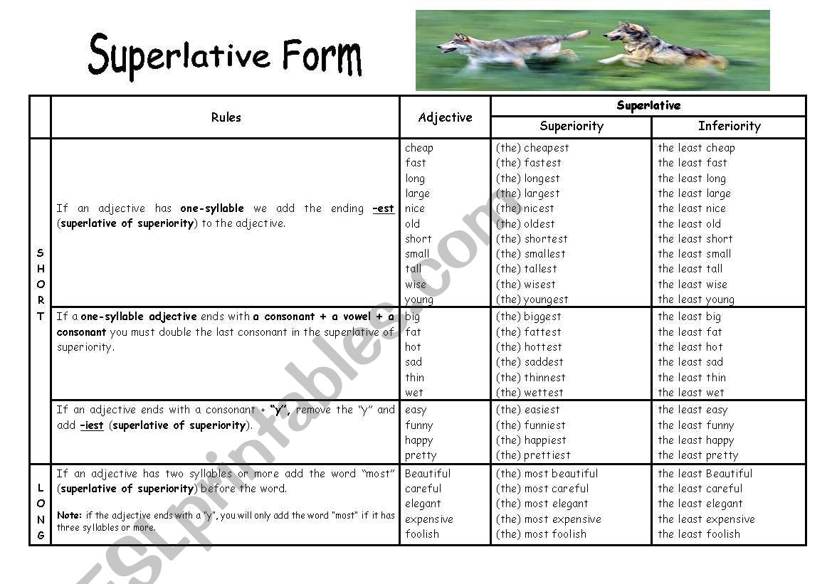 Superlatives worksheet