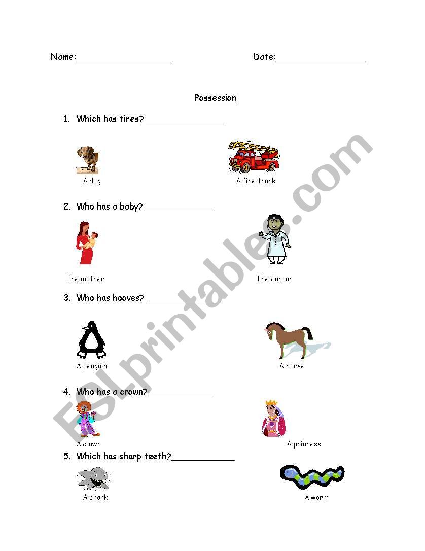 Possession worksheet