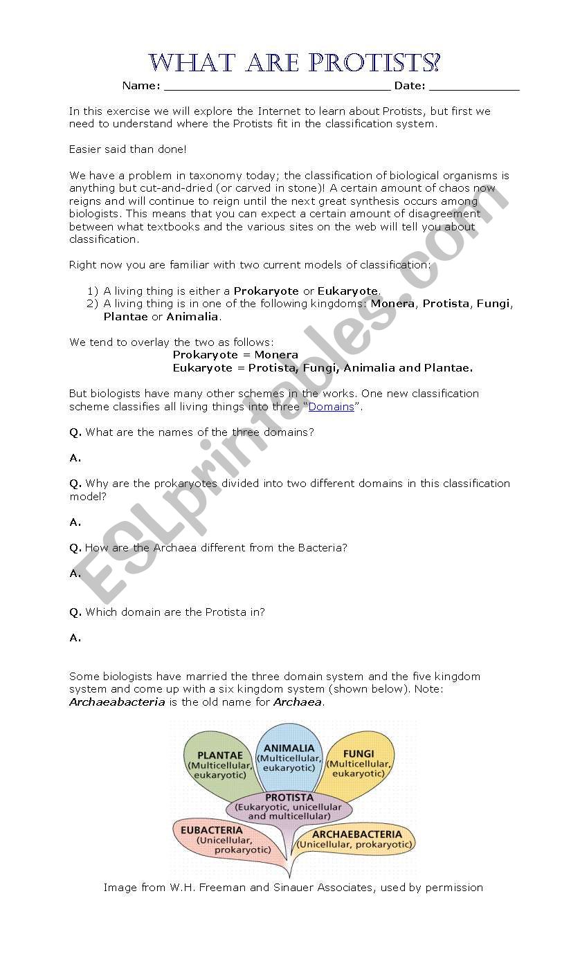 fungi worksheet