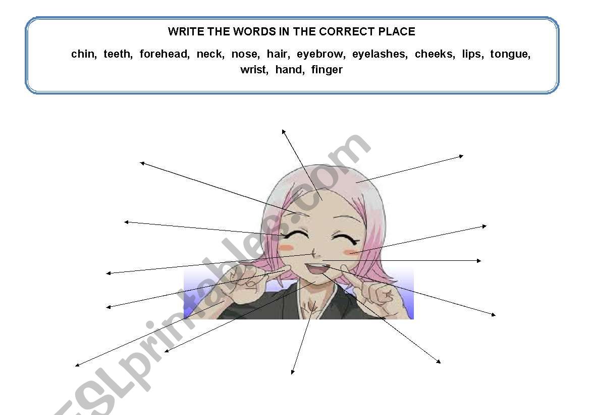 Face parts worksheet