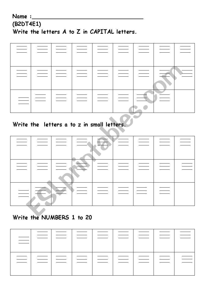 Test worksheet worksheet