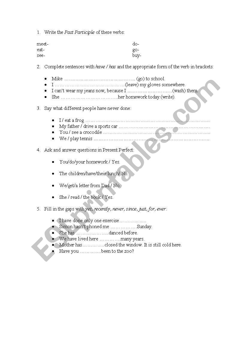 Present perfect worksheet