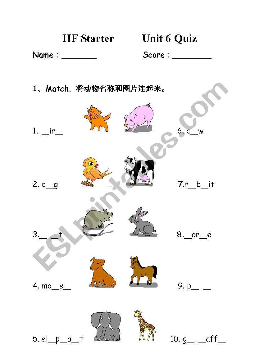 Animal Quiz worksheet