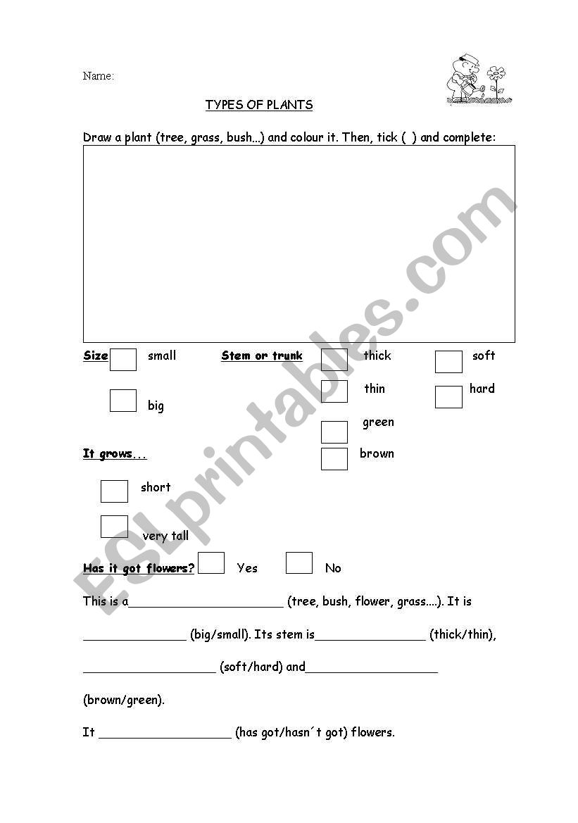 grade-1-plants-worksheets-k5-learning-plant-life-cycle-worksheet-k5