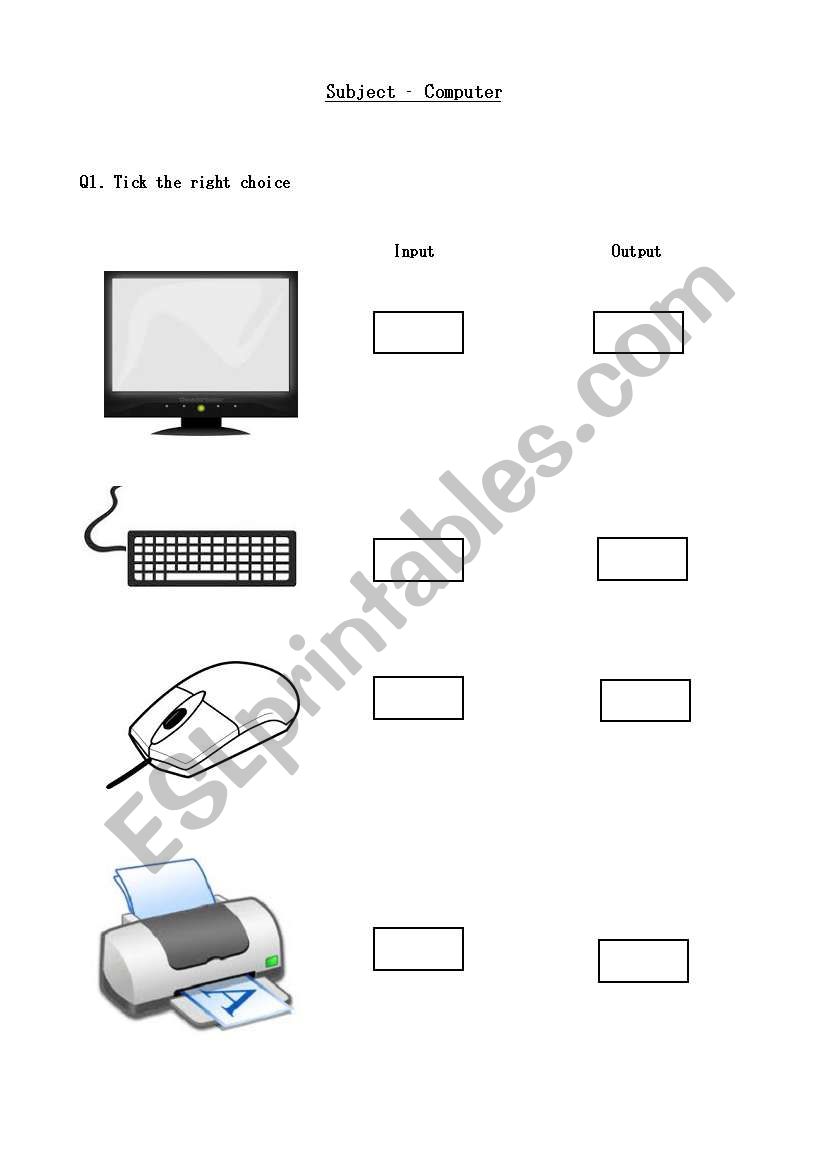 Computer input output devices worksheet