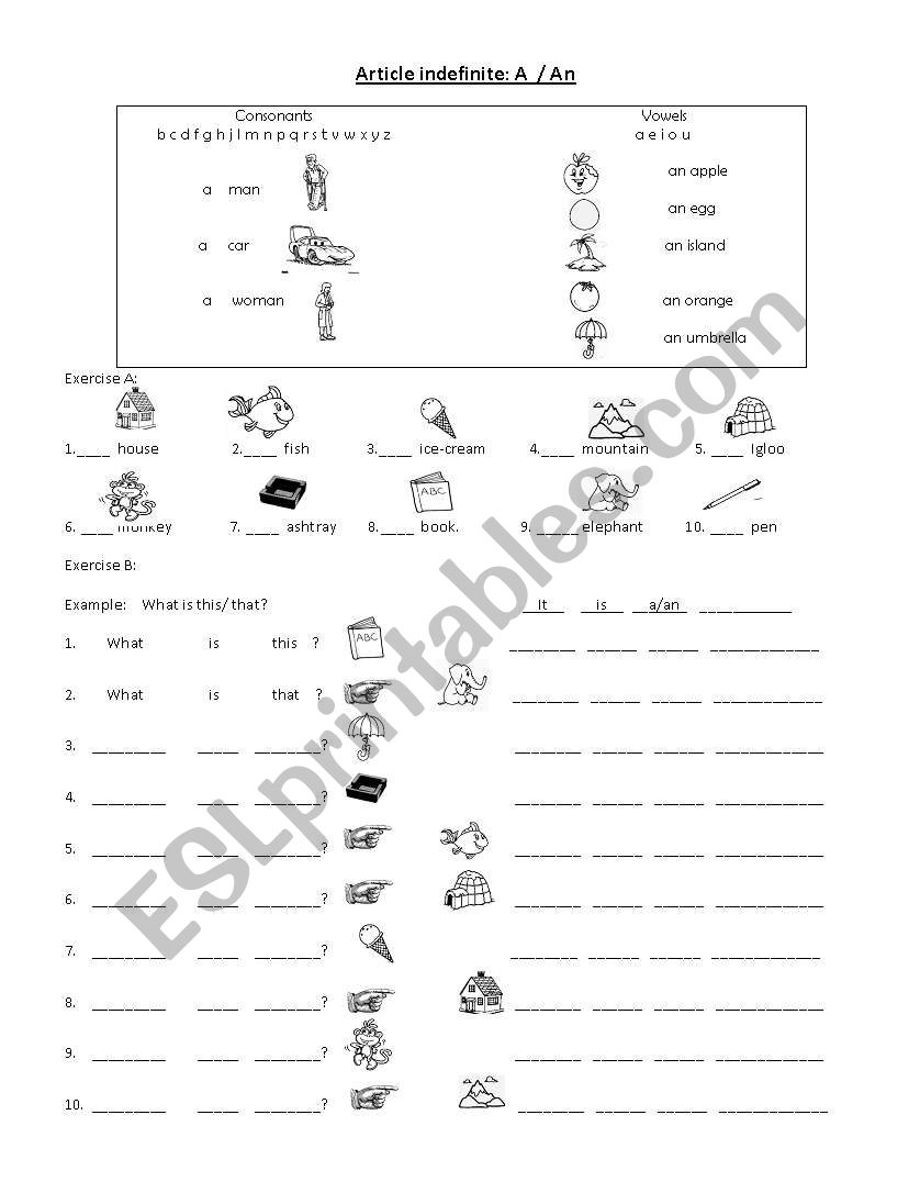 Article: A-AN worksheet