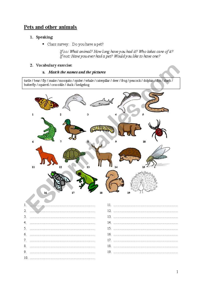 Pets and other animals worksheet