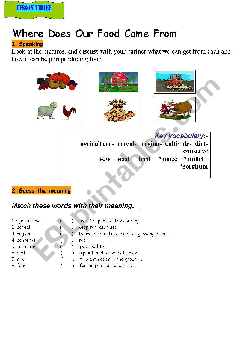 English Worksheets Food