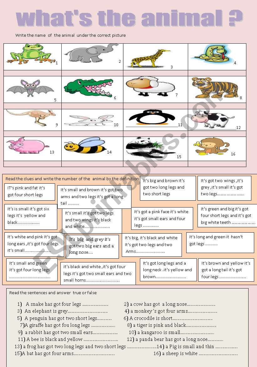 what´s the animal? - ESL worksheet by primpi