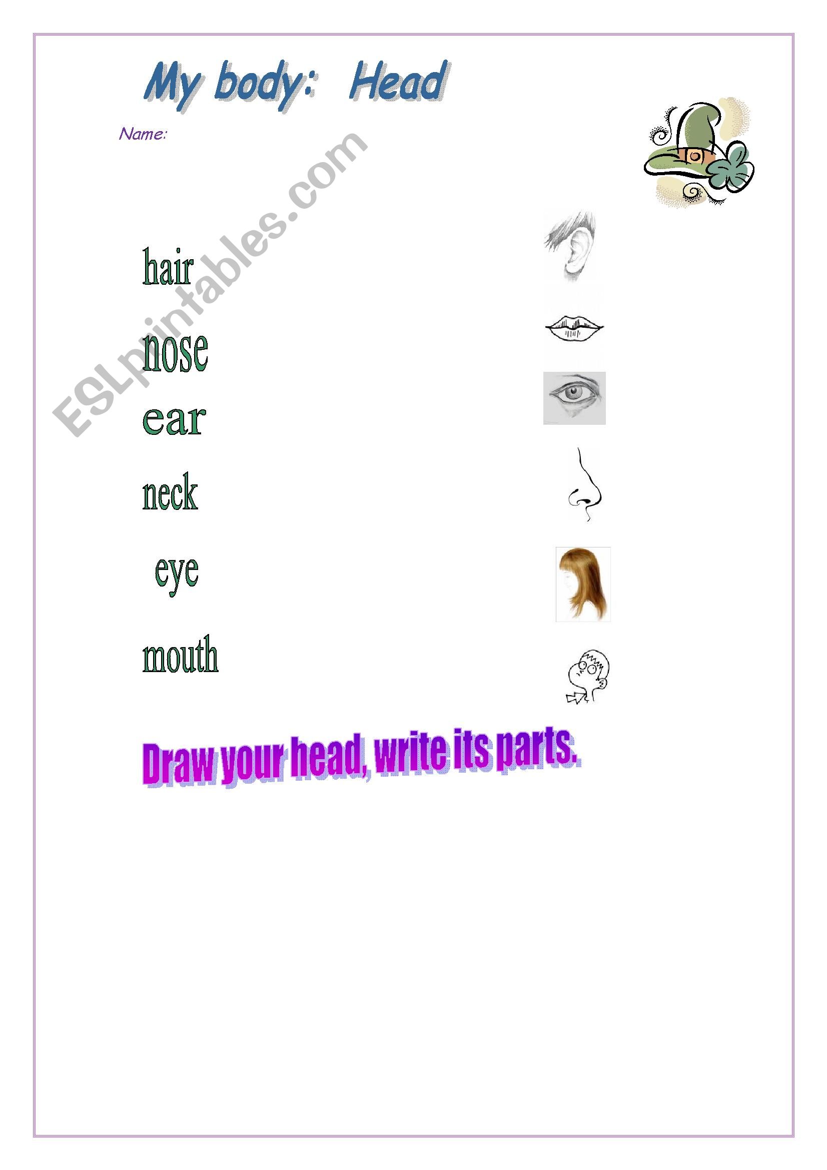Parts of the body: Head worksheet