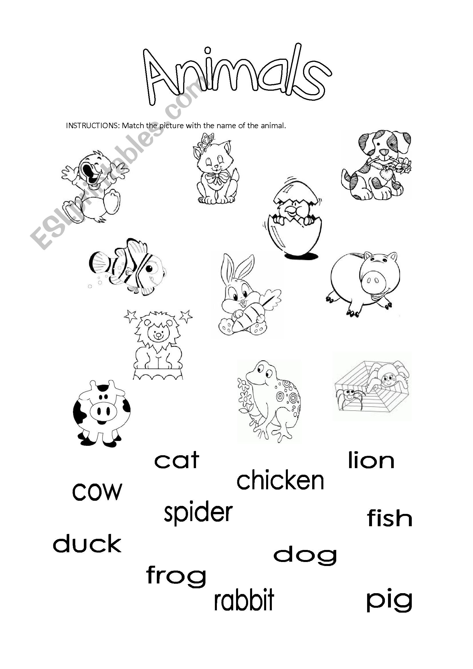 animals - ESL worksheet by nayita88