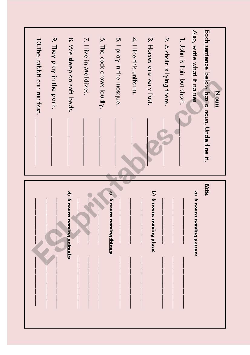 noun worksheet