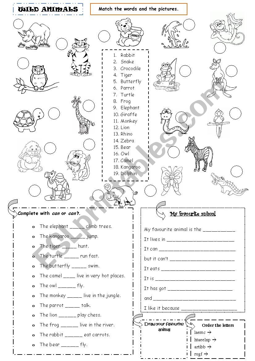 Wild Animals - Can / Can´t - ESL worksheet by bosc