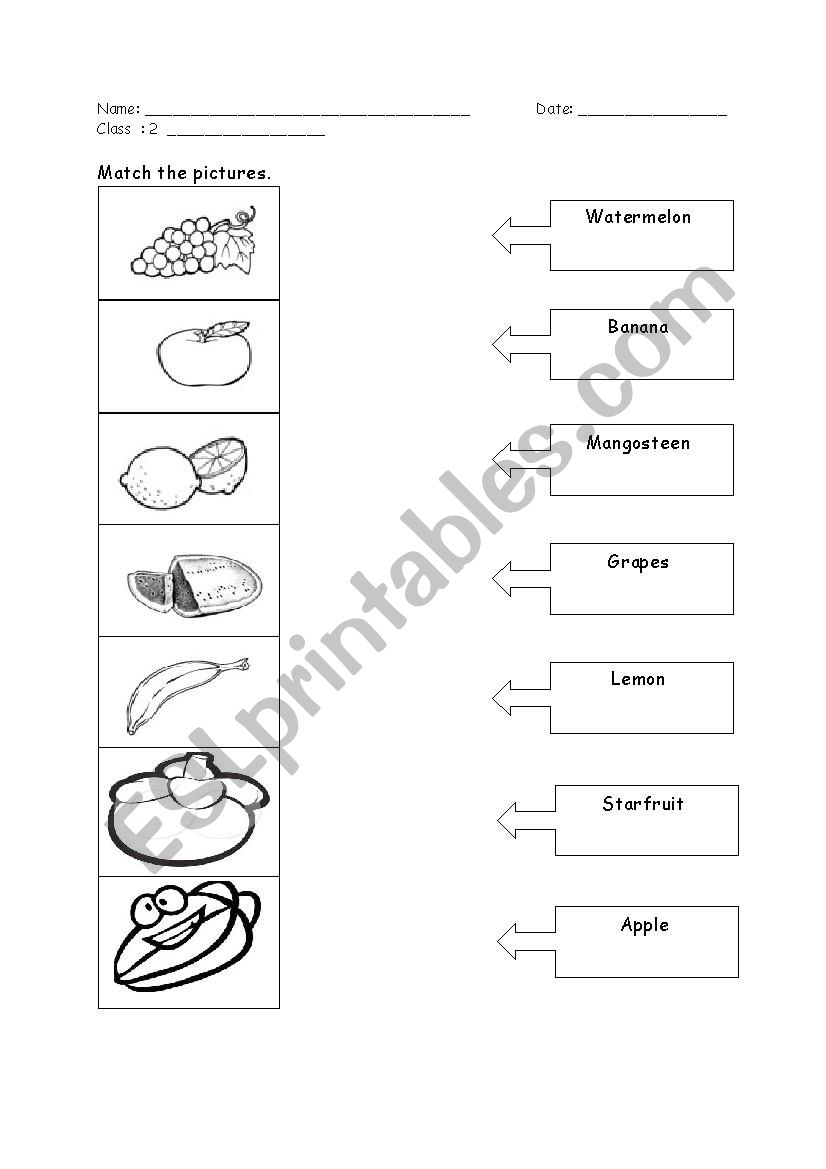 Fruit worksheet