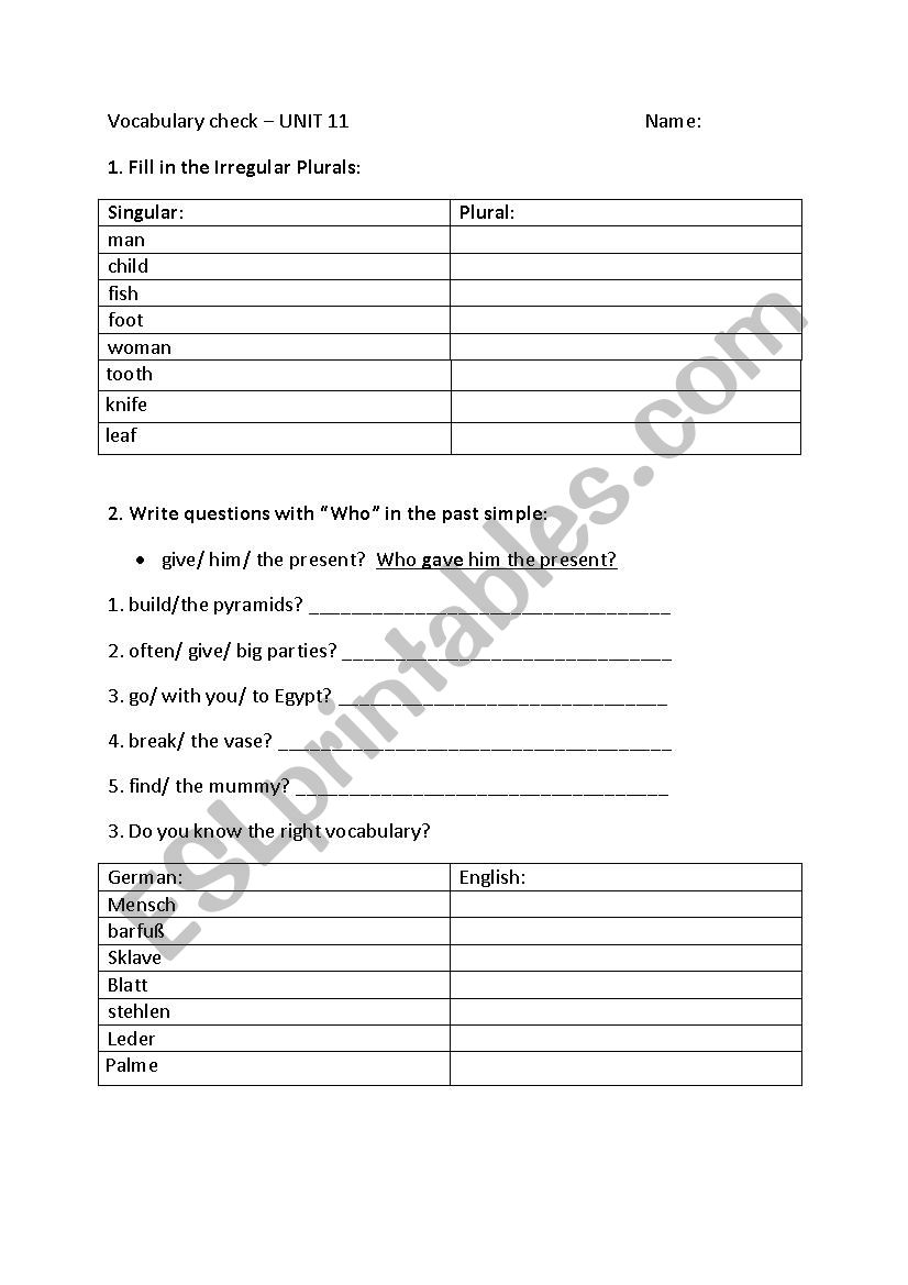 Irregular plurals and vocabularies