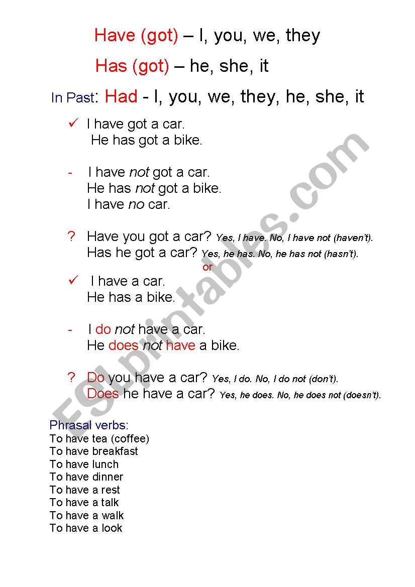 Have Has Grammar-guide worksheet