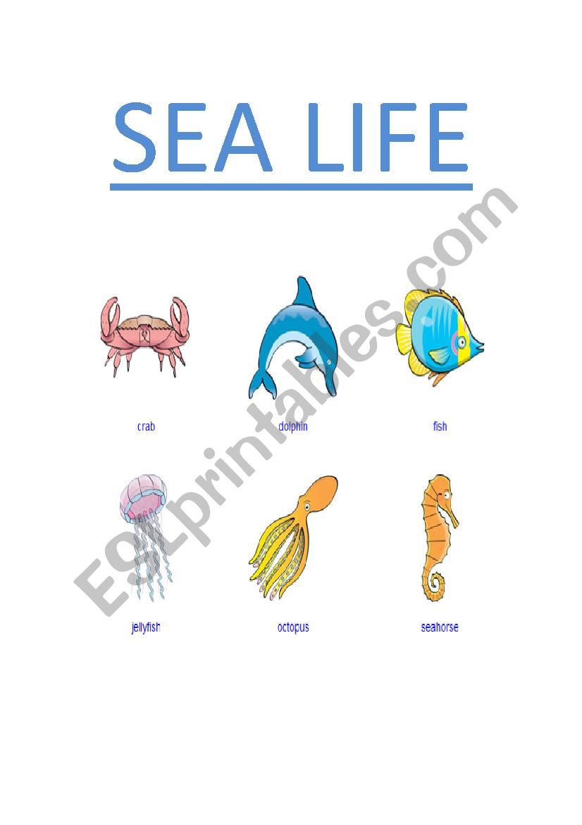 Sea life worksheet