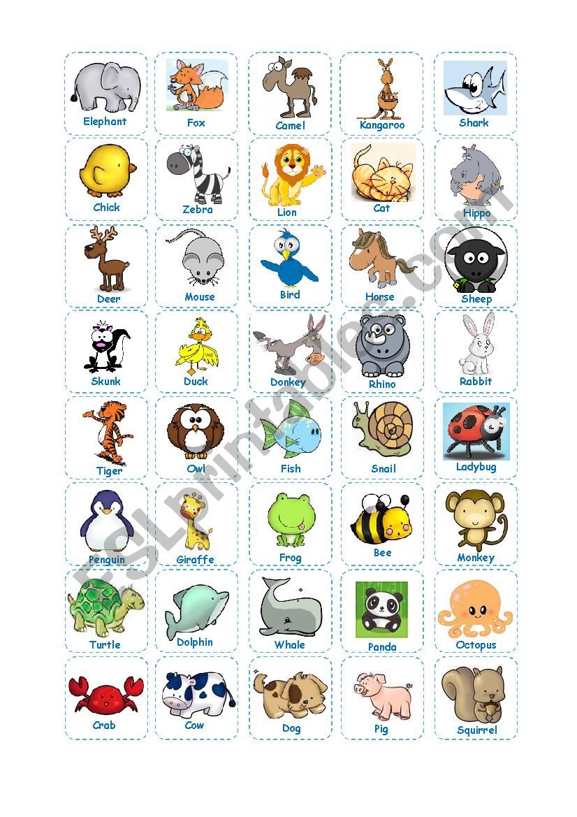 Animal Bingo (Teacher´s Cards) - ESL worksheet by juanbu