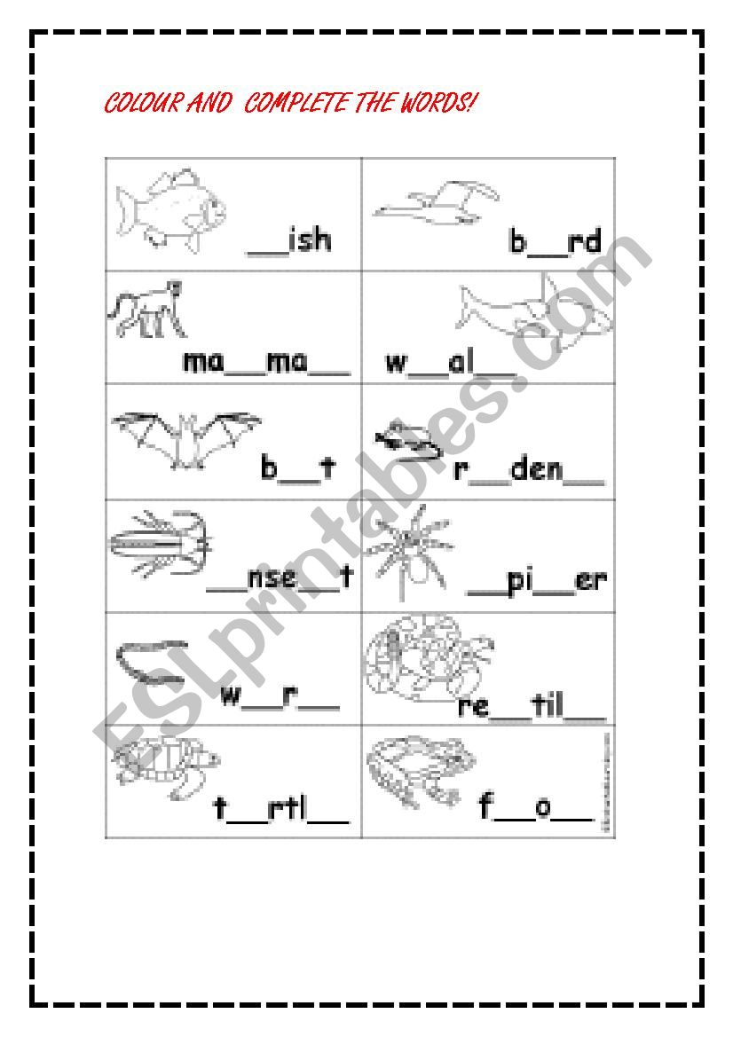 Colour the animals   worksheet