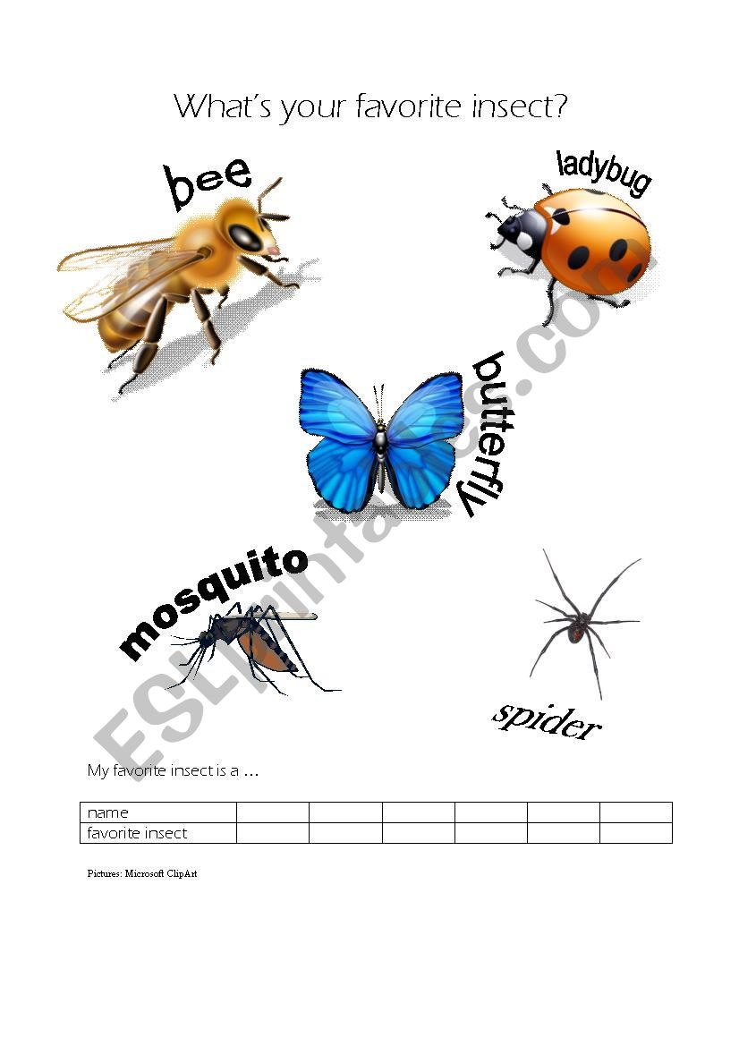 Whats your favorite insect? worksheet