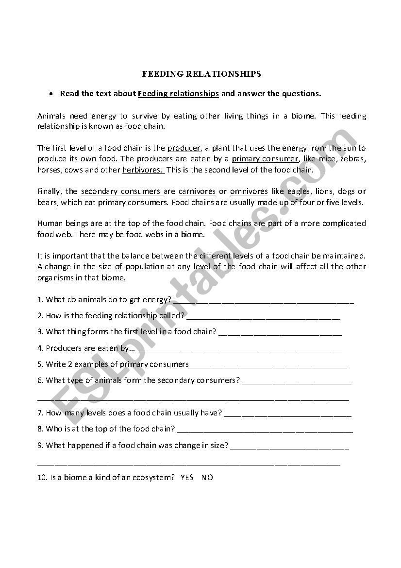 Feeding Relationships worksheet