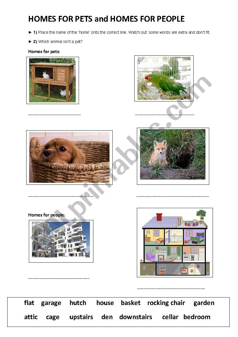 homes for pets and people worksheet