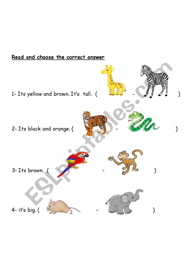 description of animals  worksheet