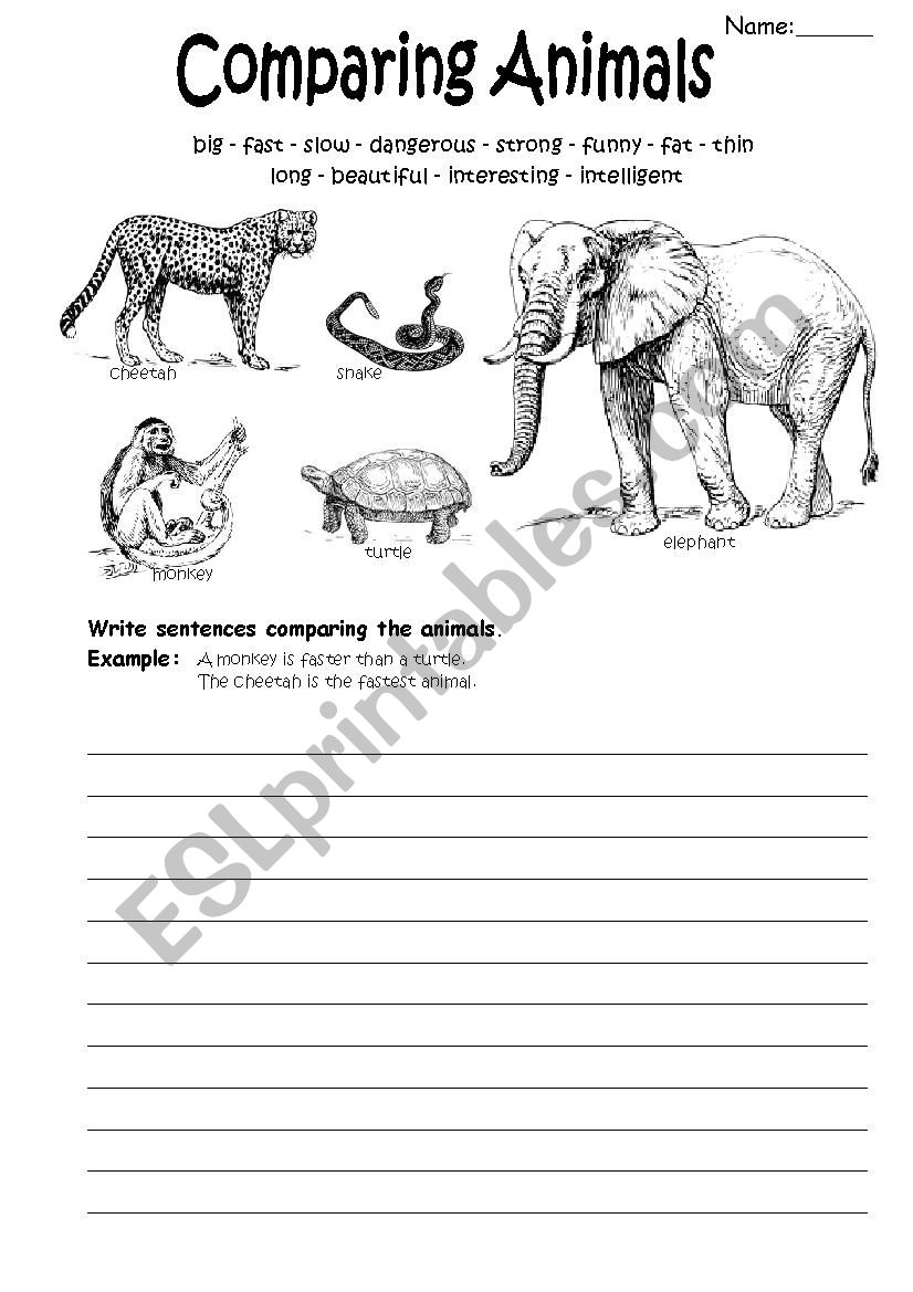 Comparatives And Superlatives And Animals writing ESL Worksheet By MarionG