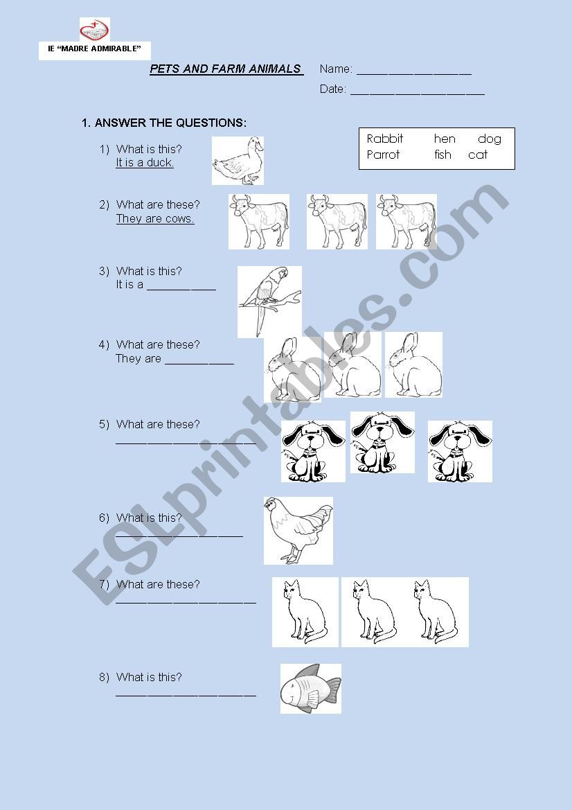 what is this? worksheet