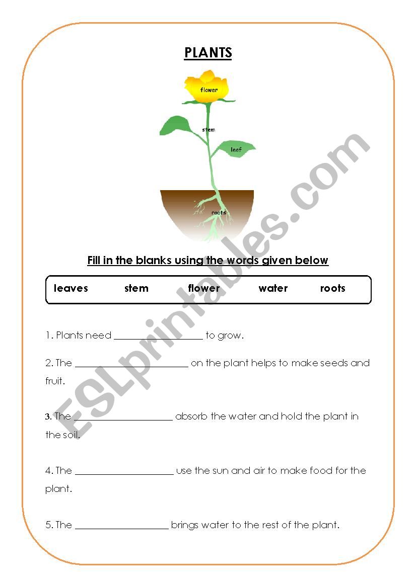 english worksheets plants